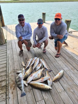 Black Drum, Redfish fishing in Port O&#039;Connor, Texas