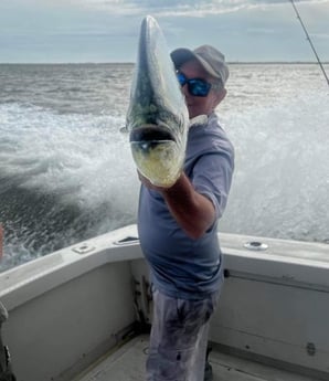 Mahi Mahi / Dorado fishing in Beaufort, North Carolina