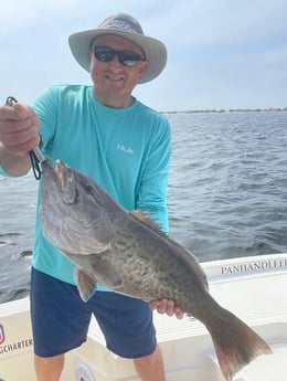 Gag Grouper Fishing in Destin, Florida