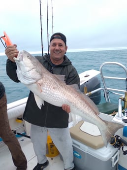 Redfish fishing in Clearwater, Florida