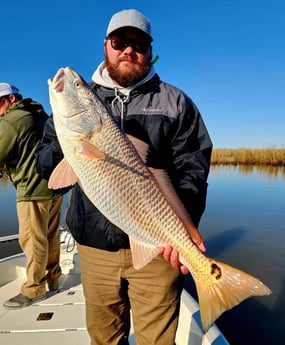 Redfish Fishing in