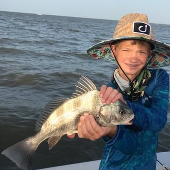 Black Drum fishing in Galveston, Texas