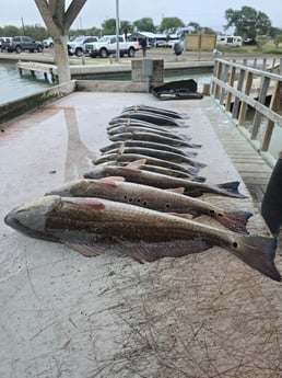 Fishing in Aransas Pass, Texas