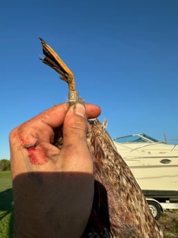 Fishing in Garwood, Texas