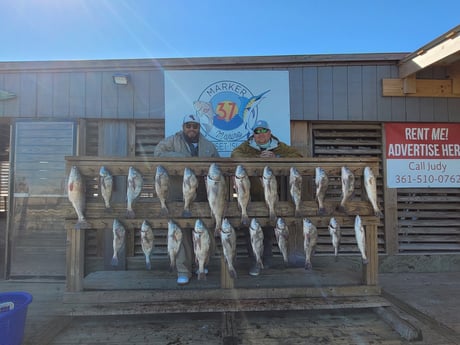 Black Drum, Redfish fishing in Corpus Christi, Texas