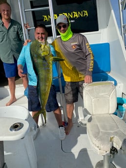 Little Tunny / False Albacore fishing in Marathon, Florida