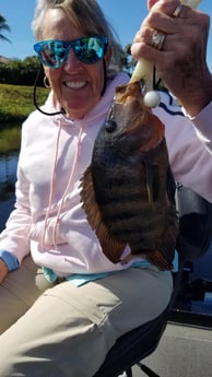 Sheepshead Fishing in Fort Lauderdale, Florida