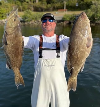 Gag Grouper fishing in Clearwater, Florida