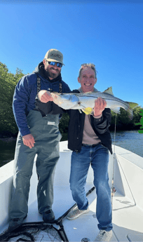 Snook Fishing in Tampa, Florida