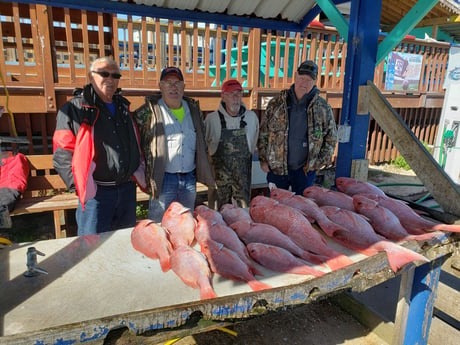 Red Snapper Fishing in Port Isabel, Texas