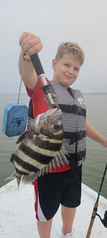 Sheepshead fishing in Galveston, Texas