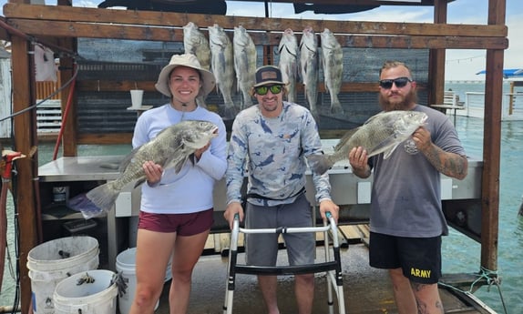 Black Drum Fishing in South Padre Island, Texas