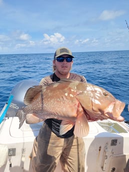 Red Grouper fishing in Clearwater, Florida