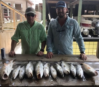 Redfish, Speckled Trout / Spotted Seatrout fishing in Galveston, Texas