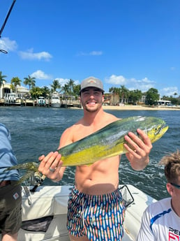 Mahi Mahi Fishing in Fort Lauderdale, Florida