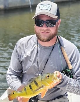 Peacock Bass fishing in Delray Beach, Florida