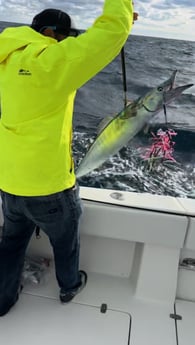 Wahoo Fishing in New Smyrna Beach, Florida