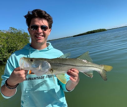 Snook Fishing in Key Largo, Florida