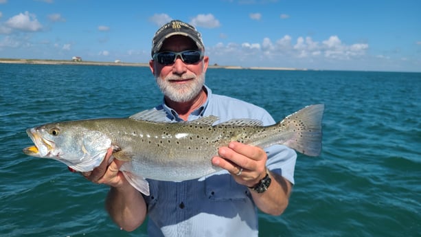 Speckled Trout / Spotted Seatrout fishing in Port O&#039;Connor, Texas