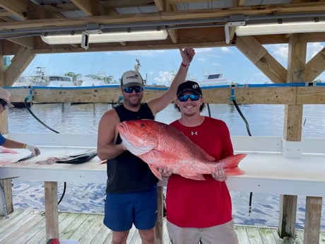 Red Snapper fishing in Orange Beach, Alabama