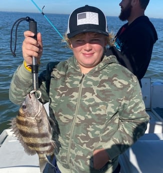 Sheepshead Fishing in Galveston, Texas