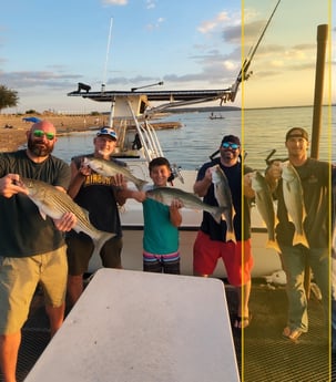 Striped Bass fishing in Burnet, Texas