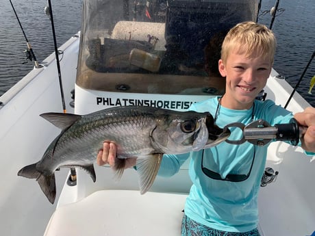 Tarpon Fishing in Jupiter, Florida