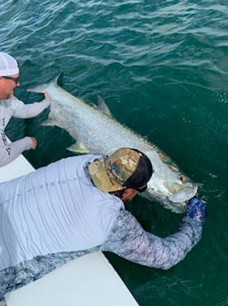 Tarpon fishing in Clearwater, Florida