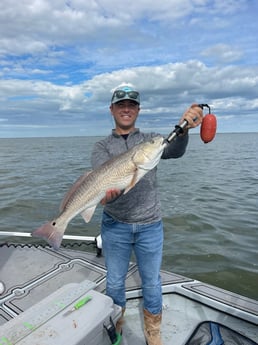 Redfish Fishing in Corpus Christi, Texas