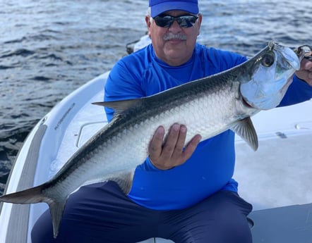 Tarpon Fishing in Palm Beach, Florida