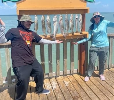 Speckled Trout / Spotted Seatrout fishing in South Padre Island, Texas