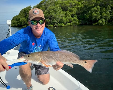 Fishing in St. Petersburg, Florida