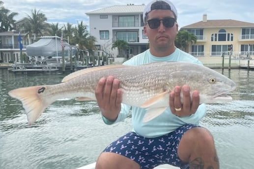 Redfish fishing in Clearwater, Florida