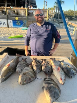 Redfish, Sheepshead Fishing in Orange Beach, Alabama