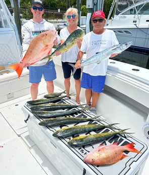 Kingfish, Mahi Mahi, Mutton Snapper Fishing in Islamorada, Florida