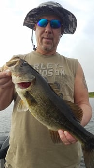 Largemouth Bass fishing in Fort Lauderdale, Florida