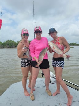 Black Drum, Redfish fishing in Matagorda, Texas