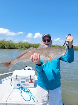 Snook fishing in New Smyrna Beach, Florida