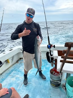 Kingfish Fishing in West Palm Beach, Florida