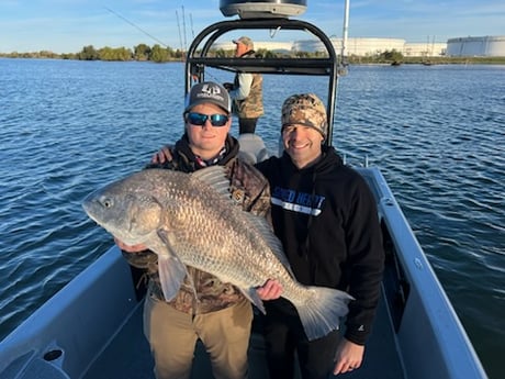 Black Drum Fishing in Boothville-Venice, Louisiana