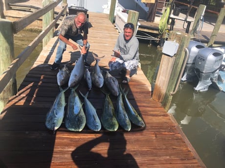 Amberjack, Barracuda, Mahi Mahi / Dorado fishing in Port Orange, Florida