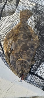 Flounder fishing in Galveston, Texas