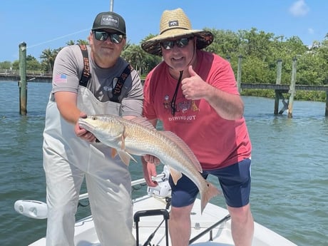 Snook fishing in Sarasota, Florida