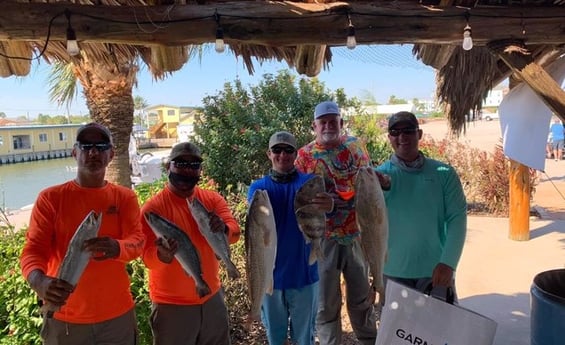 Redfish, Sheepshead, Speckled Trout / Spotted Seatrout fishing in Texas City, Texas