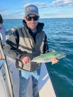 Little Tunny / False Albacore Fishing in Jacksonville, Florida