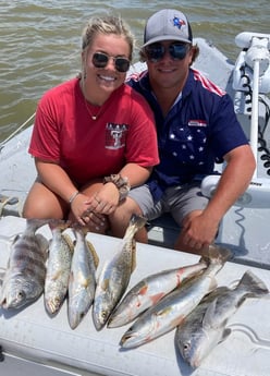 Black Drum, Speckled Trout / Spotted Seatrout fishing in Rockport, Texas