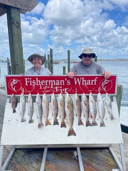 Mangrove Snapper, Redfish, Speckled Trout Fishing in Ingleside, Texas