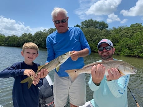 Snook fishing in Clearwater, Florida