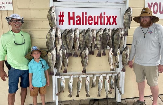 Black Drum, Speckled Trout / Spotted Seatrout fishing in Port Isabel, Texas