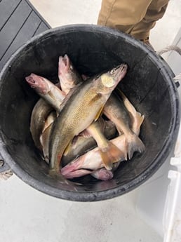 Fishing in Oak Harbor, Ohio